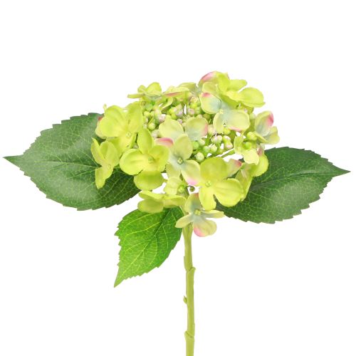 Article Hortensias Artificiels Fleurs Vertes Feuilles L43cm 2pcs