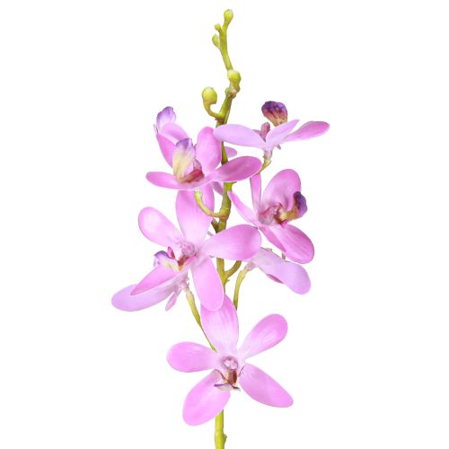 Floristik24 Orchidées artificielles 8 fleurs violettes Ø3,5cm–5cm 2pcs