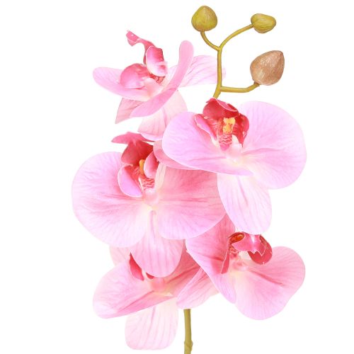 Article Orchidées artificielles roses, fleurs artificielles comme de vraies 56 cm, 3 pièces