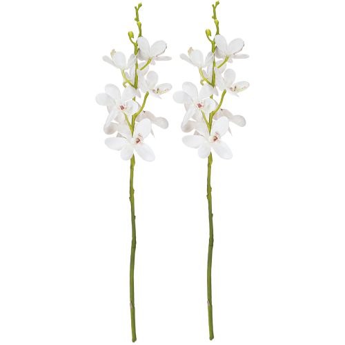 Article Orchidées artificielles fleur blanche Ø3,5–5 cm L38 cm 2 pièces