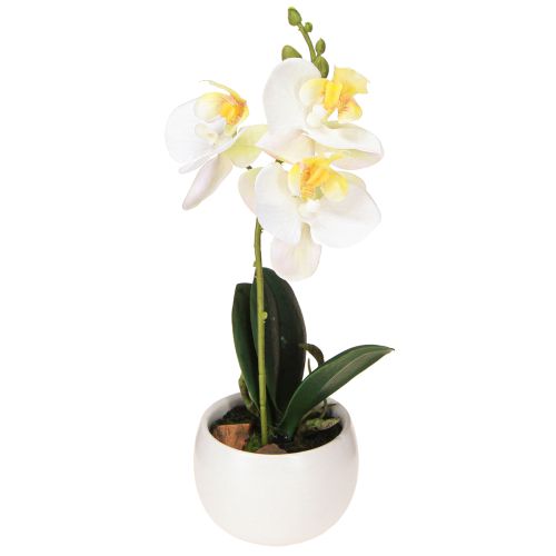 Orchidées artificielles en pot mini orchidées blanches Ø7cm H22cm