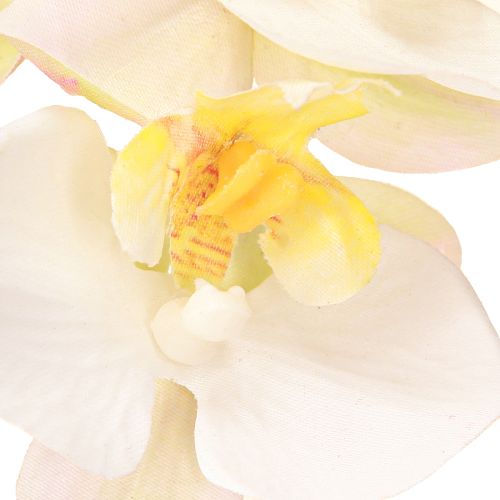 Article Orchidées artificielles en pot mini orchidées blanches Ø7cm H22cm