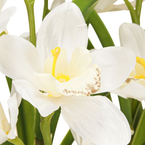 Article Orchidées artificielles en pot avec fleurs blanches H80cm