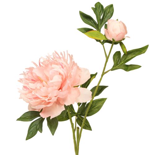 Floristik24 Pivoines Artificielles Paeonia Rose Saumon L60cm 2pcs