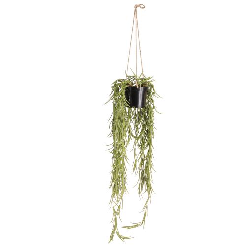 Article Plante succulente artificielle suspendue en pot noir 60 cm - Décoration d'intérieur durable