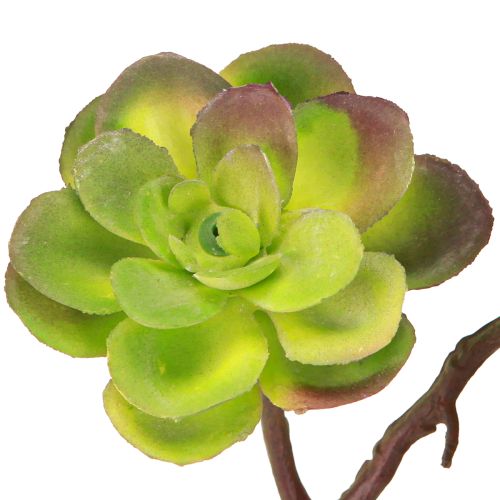 Article Plantes succulentes artificielles avec tige vert violet assorties 32 cm 2 pièces