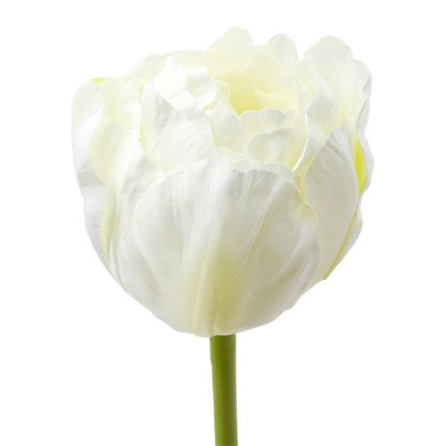 Floristik24 Tulipes artificielles en blanc et vert 86cm 3P