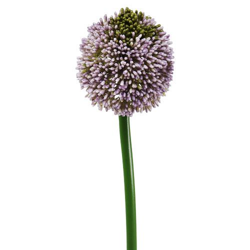 Floristik24 Fleurs artificielles Allium Violet Ø10cm L65cm