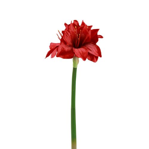 Floristik24 Amaryllis Artificielle Fleurs de Noël Fleurs Artificielles Rouges L40cm