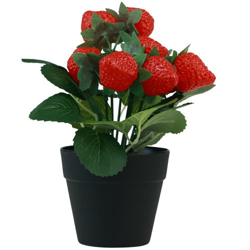 Floristik24 Fraisier artificiel en pot plante artificielle 19cm