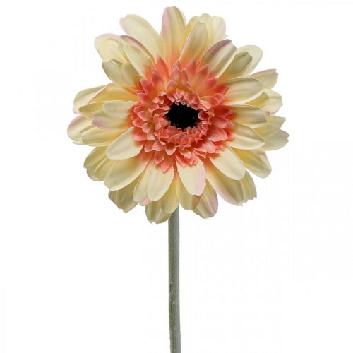 Floristik24 Fleur Gerbera Artificielle, Fleur Gerbera Artificielle Abricot Ø11cm L50cm