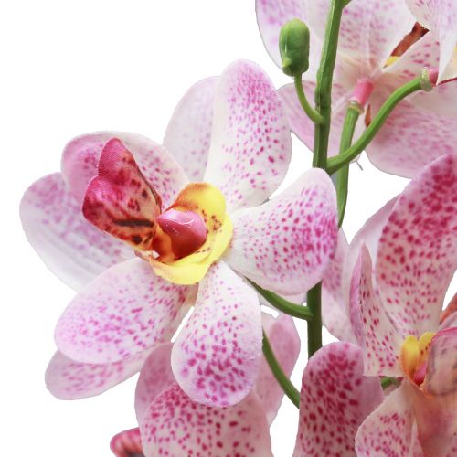 Orchidées artificielles Fleur artificielle orchidée blanche  20cm-08318
