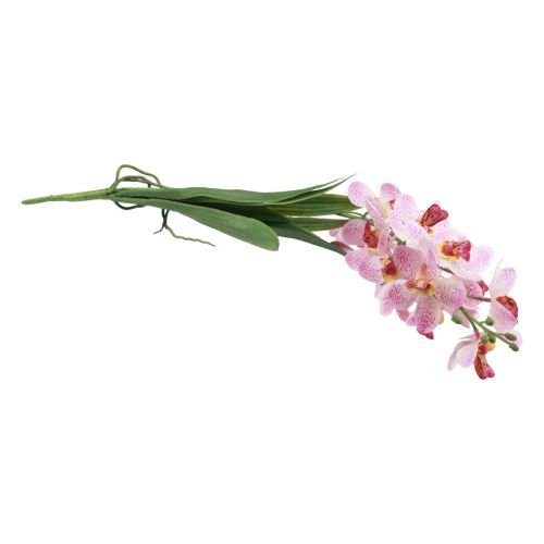 Article Orchidée Artificielle Orchidée Fleur Artificielle Rose Blanc 73cm