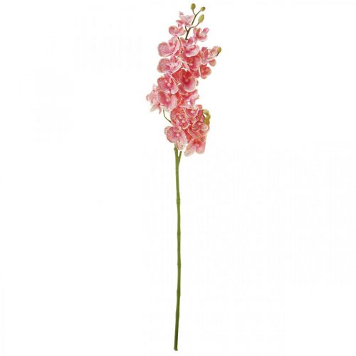 Floristik24 Orchidées artificielles déco fleur artificielle orchidée rose 71cm