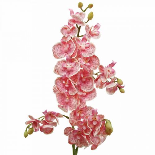 Floristik24 Orchidées artificielles déco fleur artificielle orchidée rose 71cm