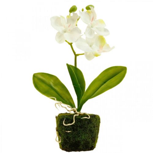 Orchidées artificielles Fleur artificielle orchidée blanche  20cm-08318