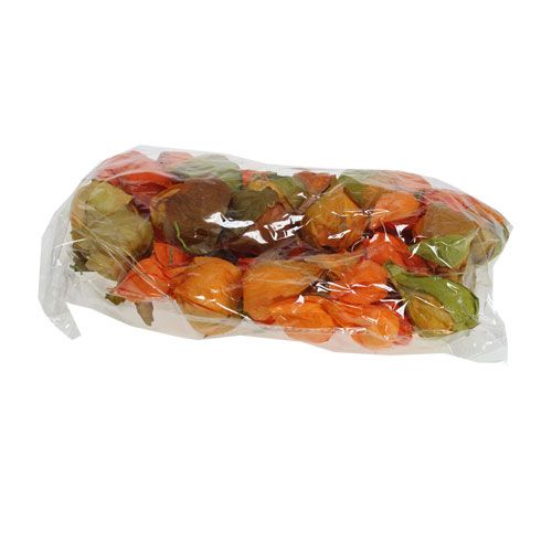 Floristik24 Physalis artificiel 48 pièces