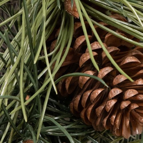 Couronne artificielle de branches de pin avec pommes de pin 60 cm | Floristik24.be