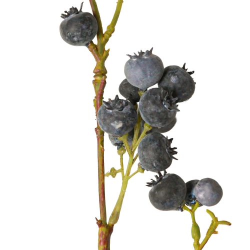 Floristik24 Branche artificielle avec myrtilles 110cm