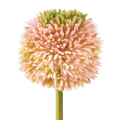 Article Allium artificiel ail ornemental rose vert Ø10cm L65cm