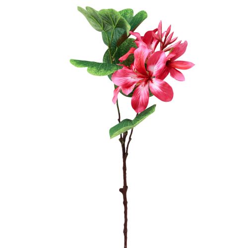 Article Branche d&#39;orchidée artificielle Bauhinia Plante artificielle rose 62cm