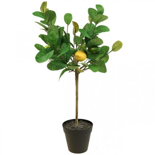 Floristik24 Citronnier artificiel en pot Citronnier H57cm