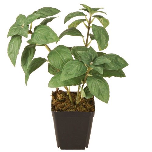 Floristik24 Basilic Artificiel en Pot Herbes en Vert H22cm