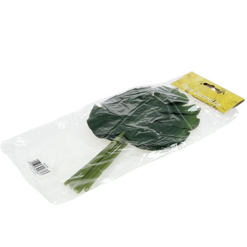 Floristik24 Feuilles de philodendron 18cm Vert 6P