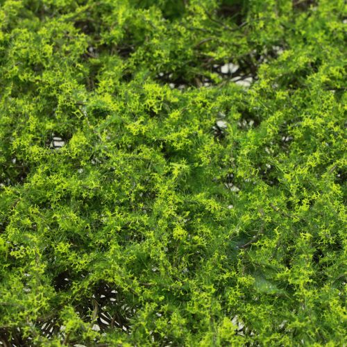 Article Tapis de mousse artificielle mousse artificielle plantes artificielles 70 × 35 cm