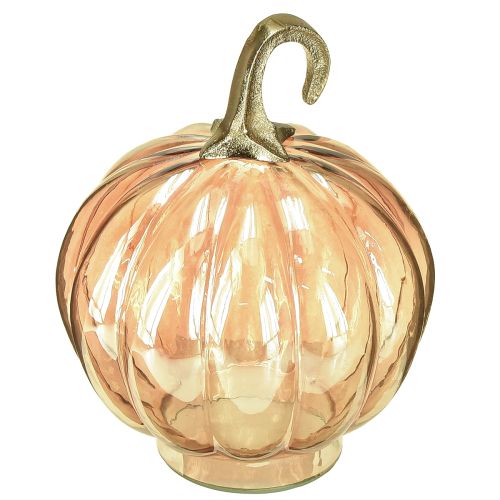Floristik24 Décoration citrouille en verre décoration de table citrouille orange Ø14cm H18cm