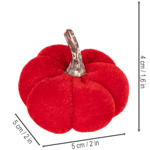 Ensemble décoratif de citrouilles en velours tricolore, mini-citrouilles de 5 cm, 12 pièces | Floristik24.be