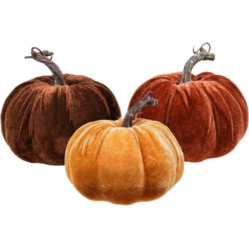 Floristik24 Citrouille Déco Automne Orange Marron Floqué Ø12cm 3pcs