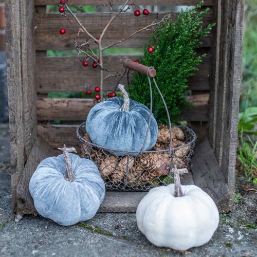 Article Décoration citrouille automne beige gris floqué H11cm Ø12cm 3 pcs