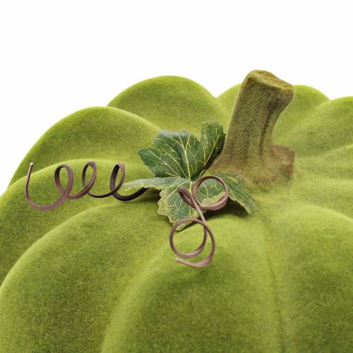 Article Potiron déco floqué vert mousse 32cm