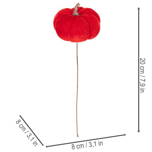 Citrouille décorative sur fil de fer, décoration d'automne, velours, ensemble tricolore, 8 cm, 9 pièces | Floristik24.be