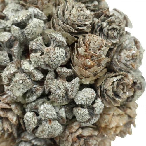 Floristik24 Boule de cônes de décoration de Noël pour accrocher des décorations de sapin de Noël Ø10cm