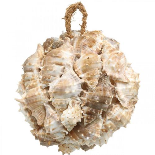 Article Boule déco coquilles d&#39;escargots coquillages déco à suspendre nature Ø12cm