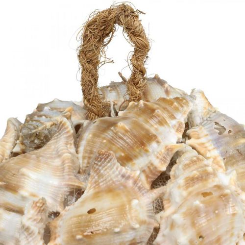 Article Boule décorative coquillages d&#39;escargots décoration coquillages à suspendre naturel Ø12cm