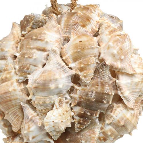 Article Boule déco coquilles d'escargots coquillages déco à suspendre nature Ø12cm