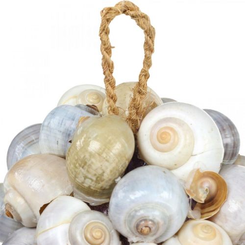 Floristik24 Boule de décoration maritime boule d&#39;escargot de mer décoration naturelle Ø12cm