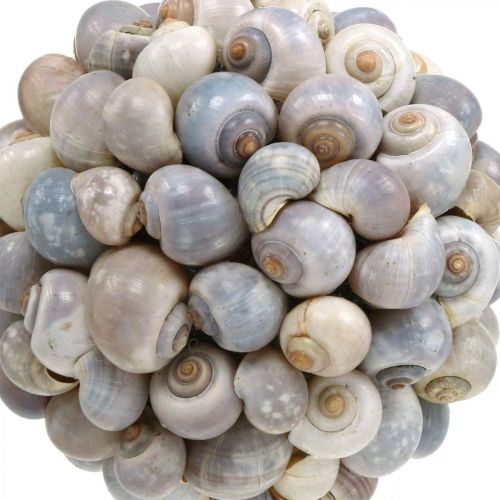 Article Boule décorative coquillage escargots de mer boule décoration naturelle maritime Ø19cm