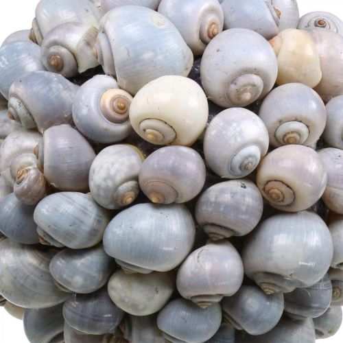 Floristik24 Boule déco escargots de mer grande décoration Maritime à suspendre Ø25cm