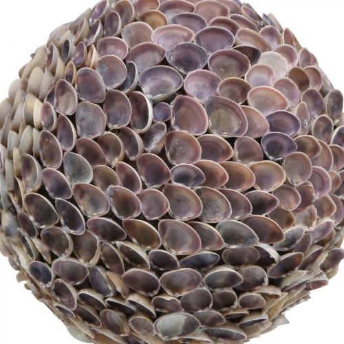 Article Boule déco coquillages boule coquillage grande décoration Maritime Ø25cm