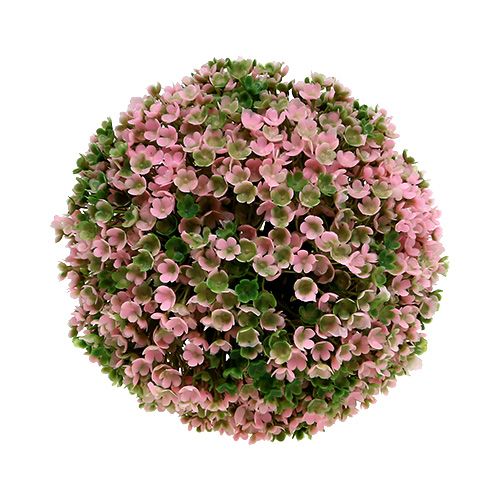 Floristik24 Boule déco rose verte boule plante Ø15cm 1 pièce