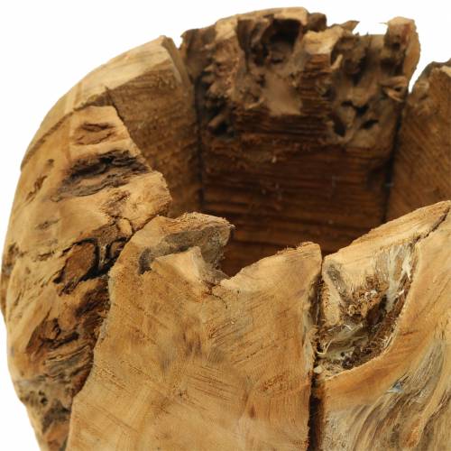 Floristik24 Bol pot racine bois camphre Ø20cm H17cm