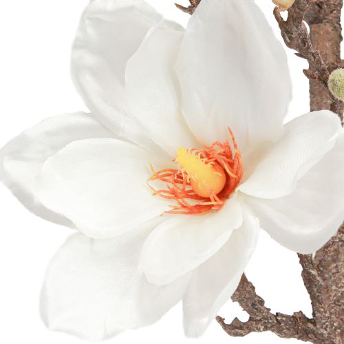 Article Branche de Magnolia Artificielle Fleurs Ø2–10cm Crème L105cm