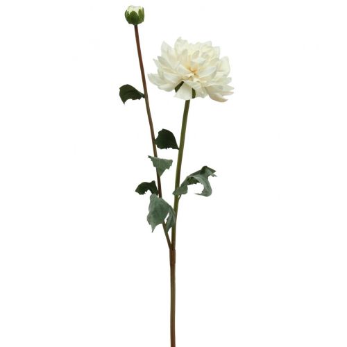 Floristik24 Fleur artificielle Dahlia Blanc Fleur artificielle avec bouton H57cm