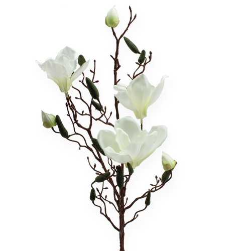 Floristik24 Branche de magnolia artificielle crème 90 cm