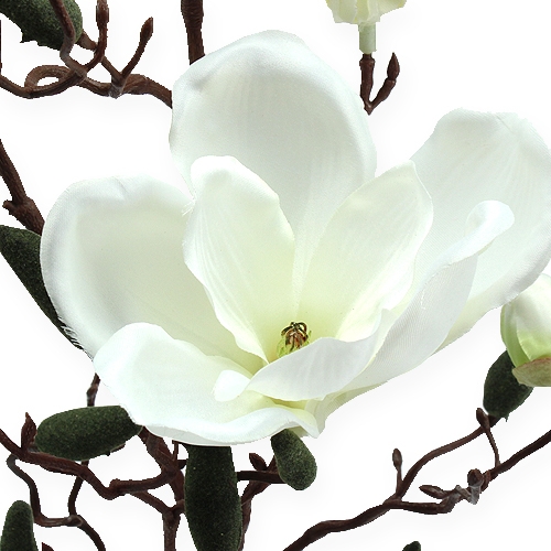 Article Branche de magnolia artificielle crème 90 cm