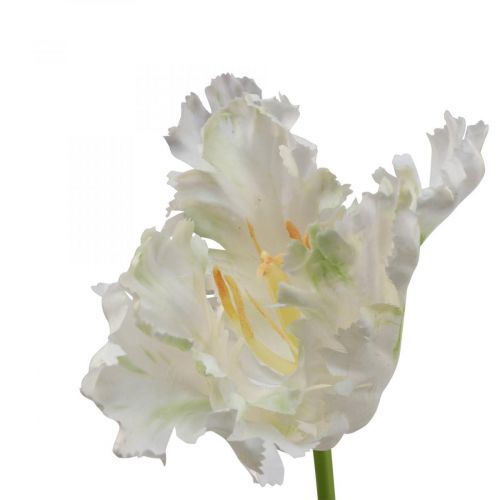 Floristik24 Fleur artificielle, tulipe perroquet vert blanc, fleur de printemps 69cm